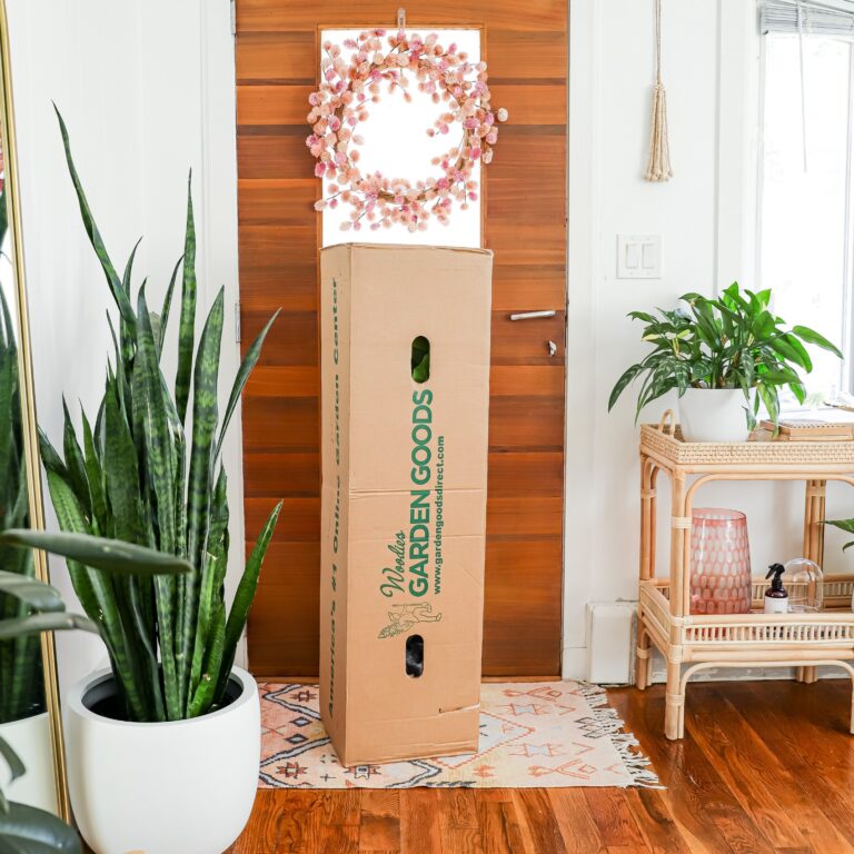 264298844_1578157552516591_8149118723511561062_n