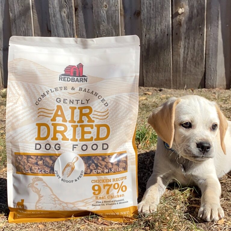 270989963_5026170597404523_6677887899623381401_n